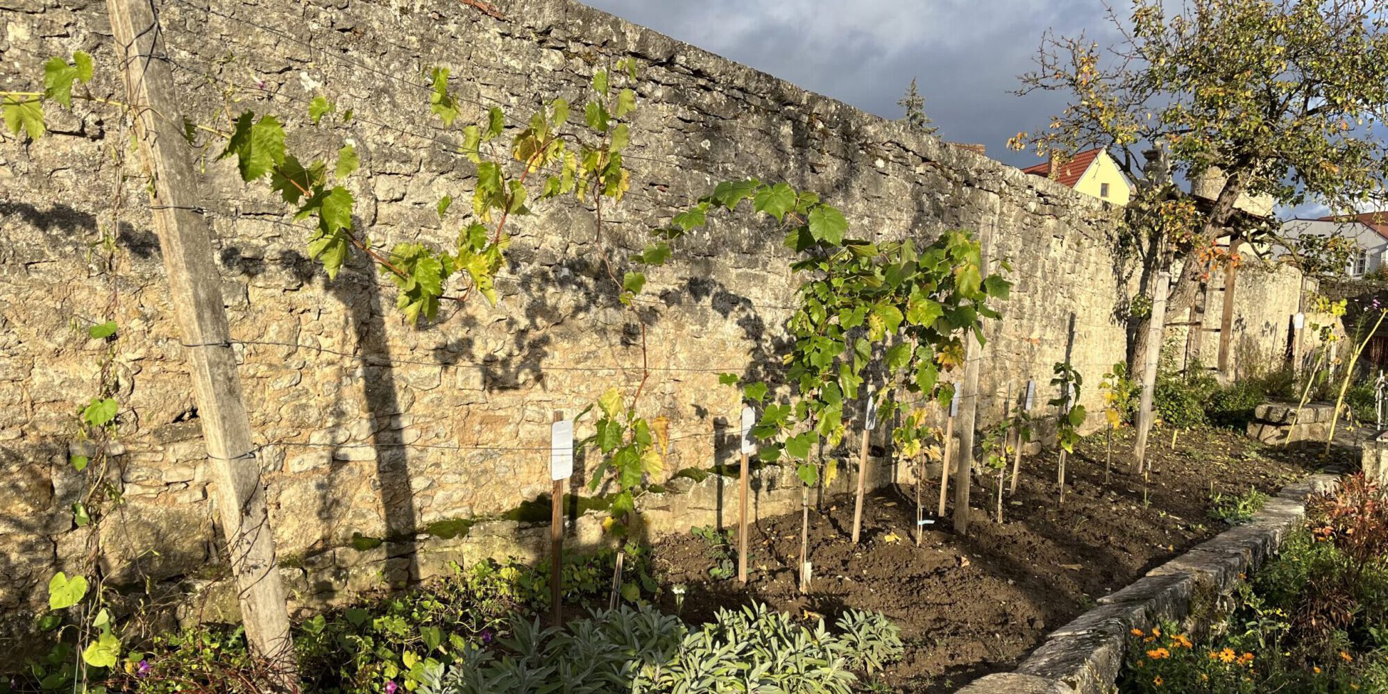 Weinlehrpfad für Kinder, Barockgarten Eibelstadt